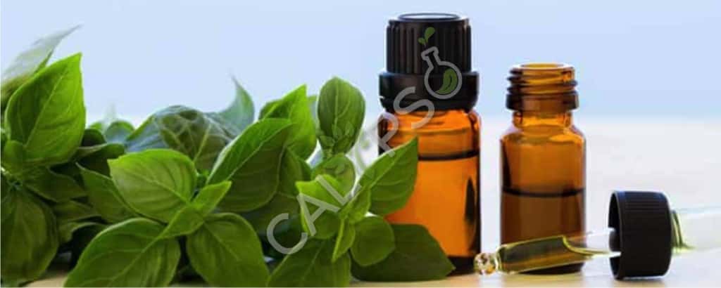 Basil Oil Near Me